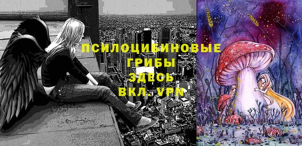 ешки Арсеньев