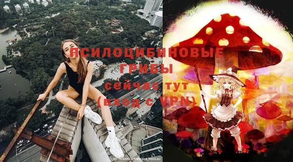 ешки Арсеньев