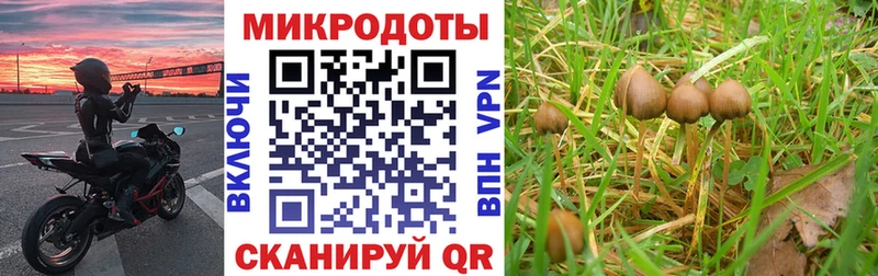 Галлюциногенные грибы ЛСД  Кубинка 