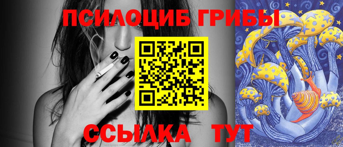 Псилоцибиновые грибы GOLDEN TEACHER  Галлюциногенные грибы Psilocybe  Вход с VPN  Кубинка 