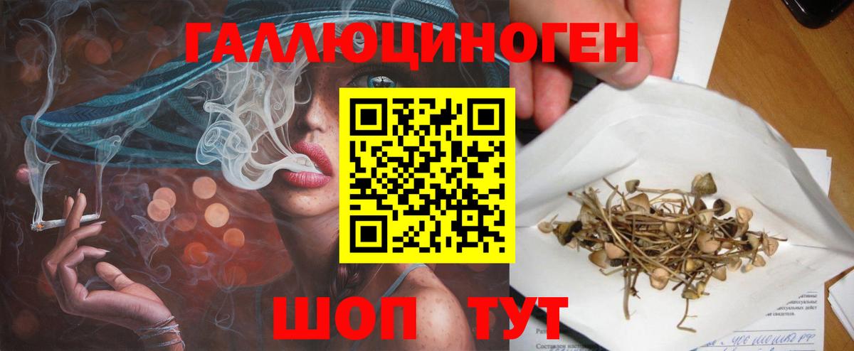 Галлюциногенные грибы мицелий Кубинка
